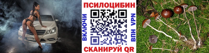 купить наркотики цена Соль-Илецк Псилоцибиновые грибы мицелий